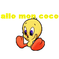 titi